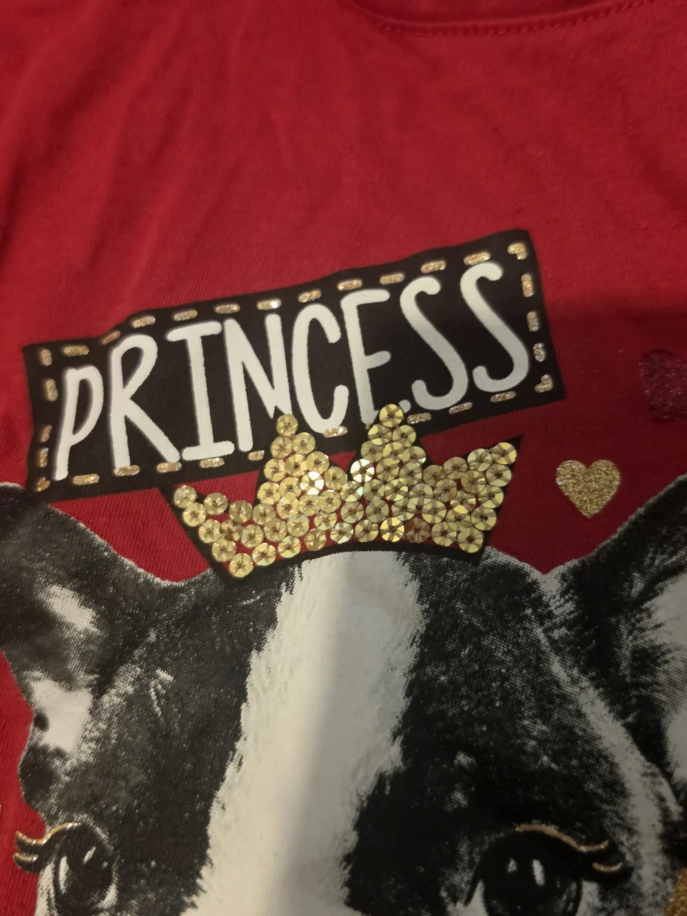 Garanimals Red Long-Sleeve 'Princess Forever' Puppy Tee